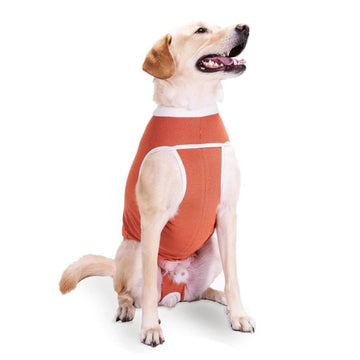 Playera Body Original